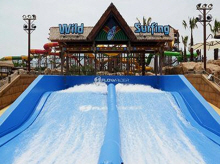 와일드서핑