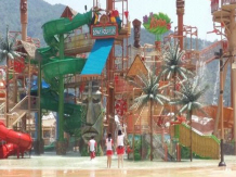 어린이풀(MLPS)